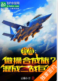 抗战：微操合成旅？混成二战巨头  云巅小刀