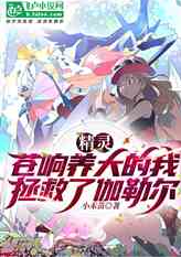 精灵：苍响养大的我拯救了伽勒尔（至499章）